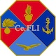Ce.FLI